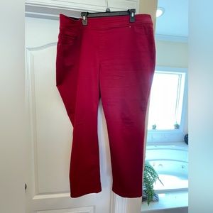 22w Kim Rogers Tummy Control Straight Pants